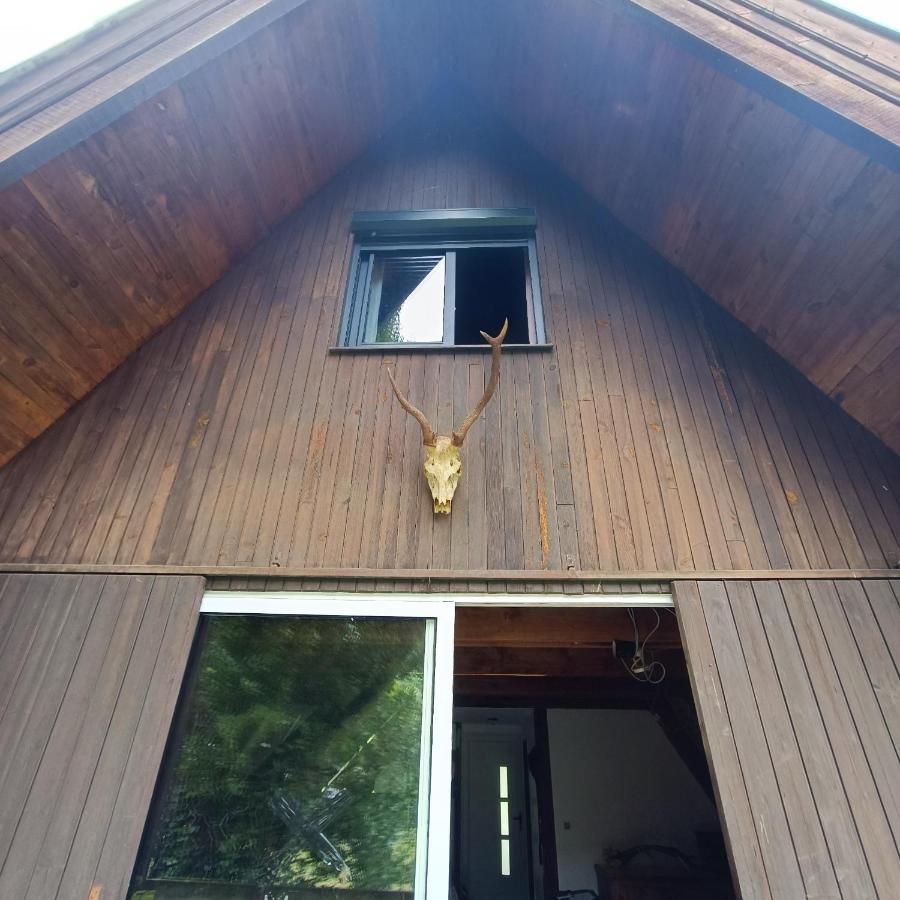 Chalet- Vallee De Luchon - Vallee De La Pique Cierp Bagian luar foto